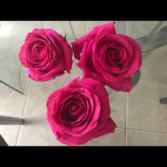 Meet your Posher, Kristy - Picture 1 of 1